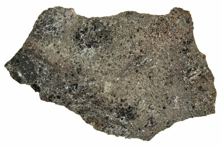 Polished Lunar Meteorite ( g) Slice - Ash Shaqqah #356001